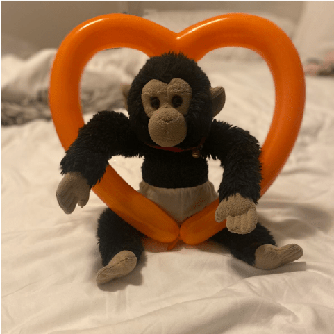 Maria Chiara Leone e Maurizio Mercurio